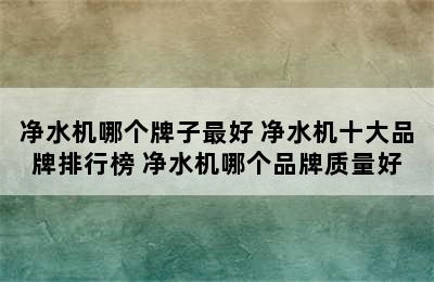 净水机哪个牌子最好 净水机十大品牌排行榜 净水机哪个品牌质量好